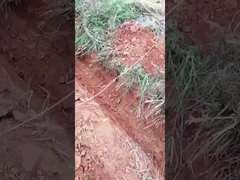 0.6 Ton 0,8 Ton Mini Excavadora de Escavação Pequena Micro Excavadora