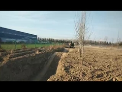 Excavadora de 6 toneladas 6,5 toneladas 8 toneladas